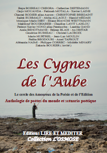LES_CYGNES_DE_L'AUBE